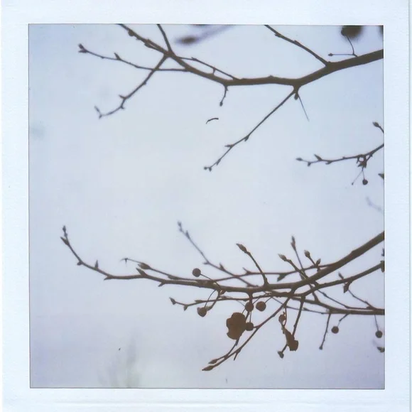 Hello! - Picture 9 of 11